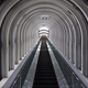 Illustration for article titled Your brain is what makes broken escalators dangerous